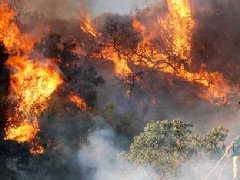 洛杉磯爆發史上最大山火，宣布進入緊急狀態