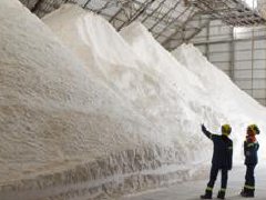 氧化鋁行情分析：延續放量上漲，賣方看漲市場